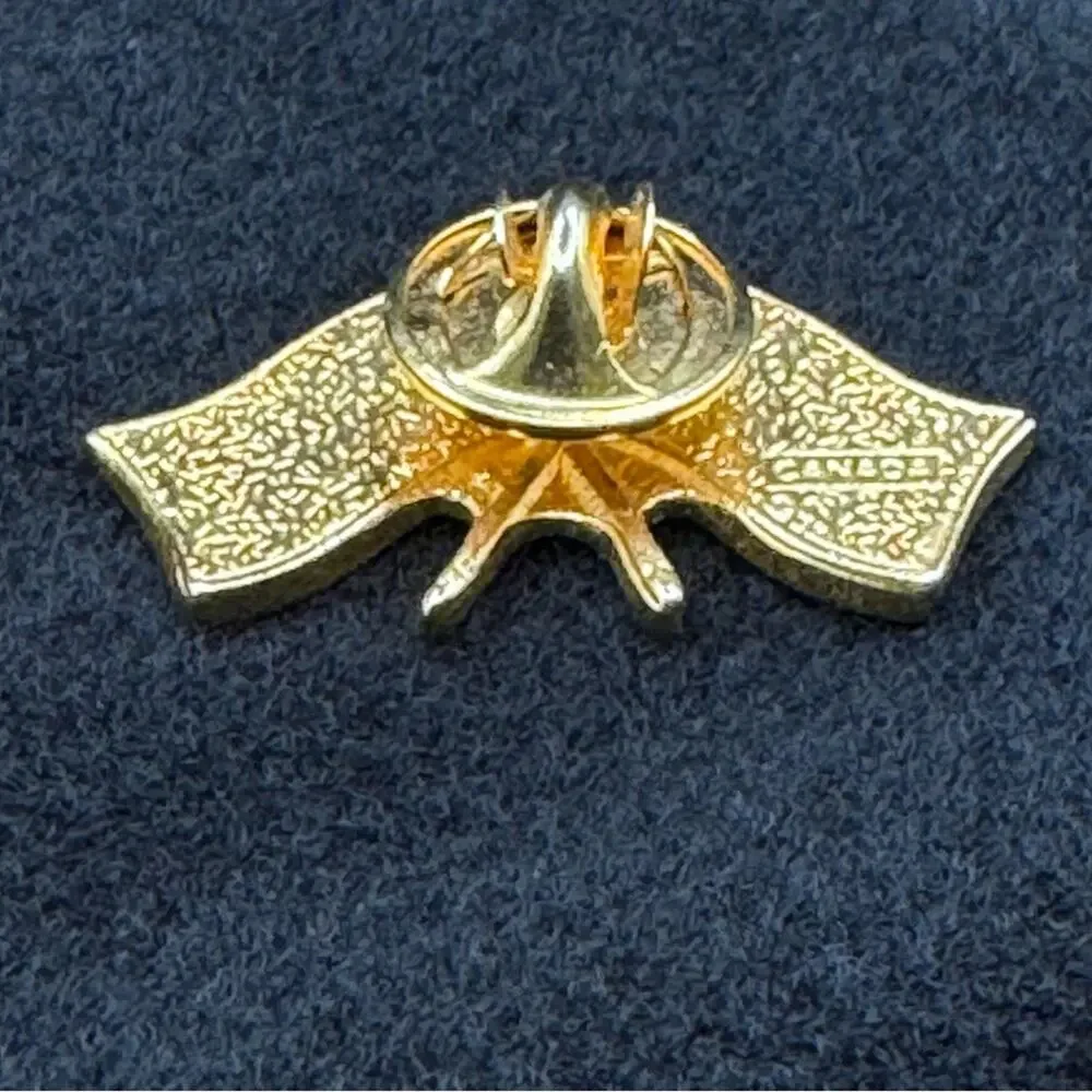Canada Flag & United States of America USA flag Friendship Pin Badge